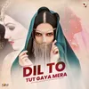About Dil To Tut Gaya Mera Song